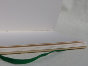 Carnet aquarelle, dos en cuir vert, plats en toile beige, papier 224g