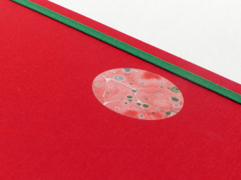 Carnet technique mixte, dos en cuir vert, plats en toile rouge, papier 180g